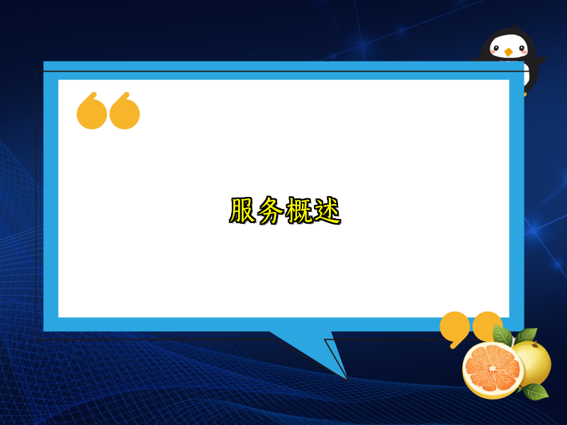 服务概述