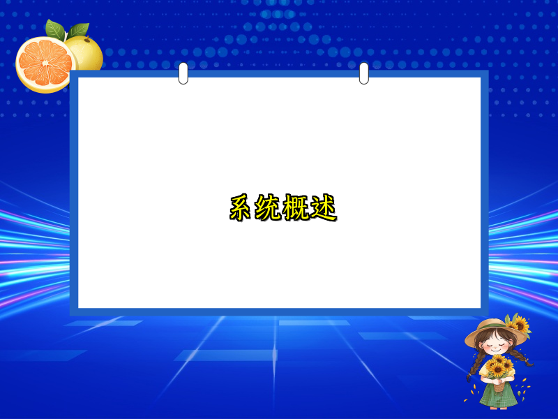 系统概述