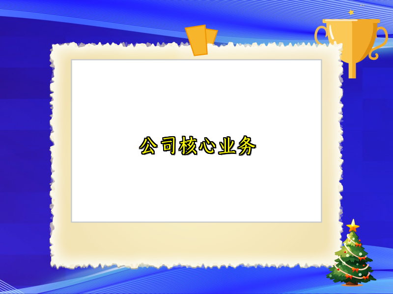 公司核心业务