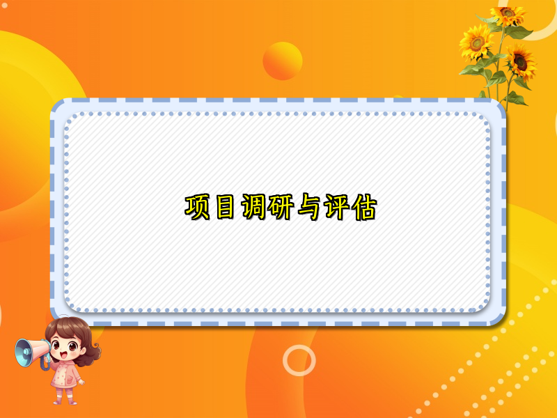 项目调研与评估