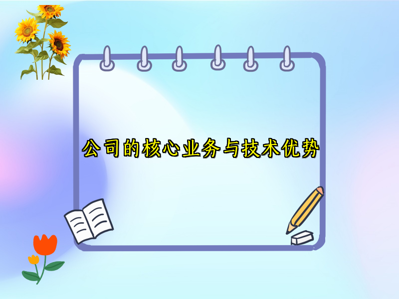 公司的核心业务与技术优势