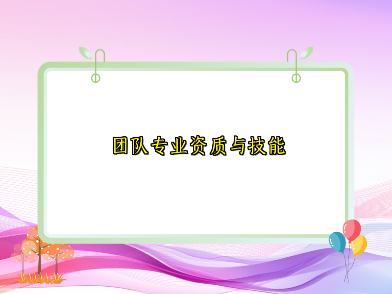 团队专业资质与技能